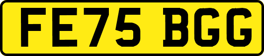 FE75BGG