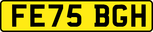 FE75BGH