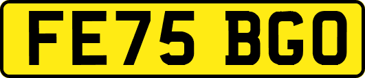 FE75BGO