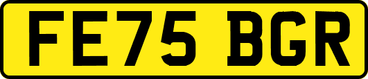 FE75BGR