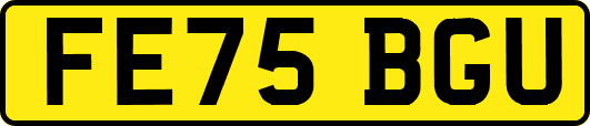FE75BGU