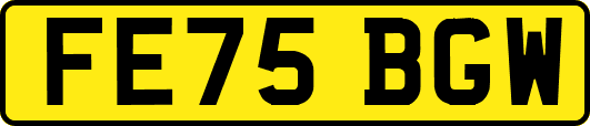 FE75BGW