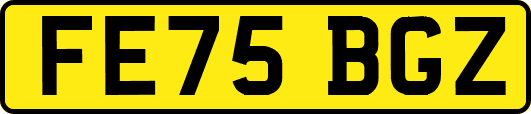 FE75BGZ