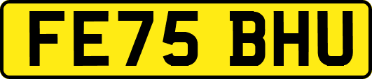 FE75BHU