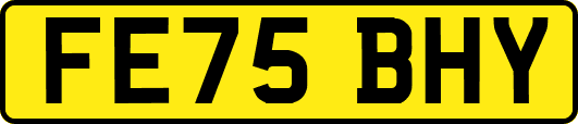 FE75BHY
