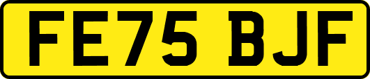 FE75BJF