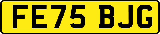 FE75BJG
