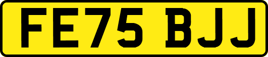 FE75BJJ