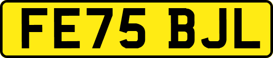 FE75BJL