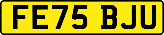 FE75BJU