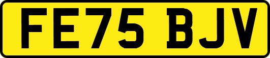 FE75BJV