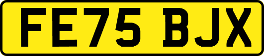 FE75BJX