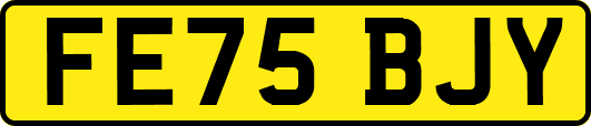 FE75BJY