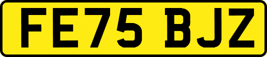 FE75BJZ