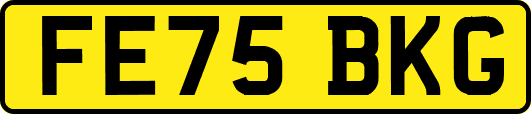 FE75BKG