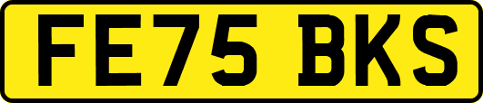 FE75BKS