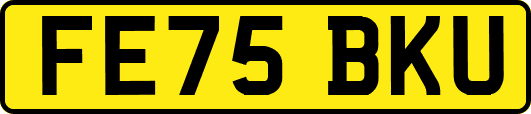 FE75BKU
