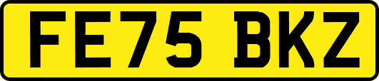 FE75BKZ