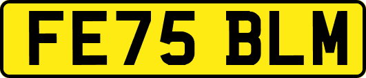 FE75BLM