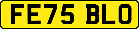 FE75BLO