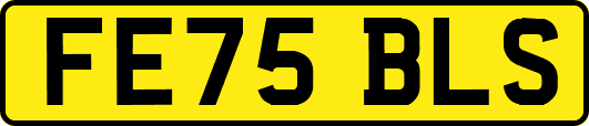 FE75BLS