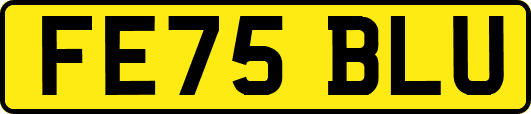 FE75BLU