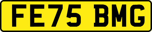 FE75BMG