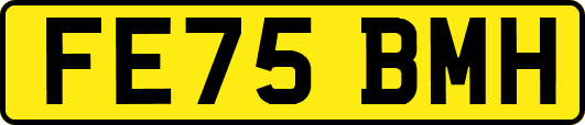 FE75BMH