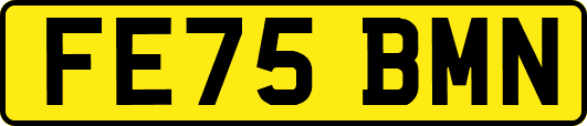 FE75BMN