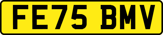 FE75BMV