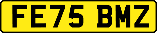 FE75BMZ