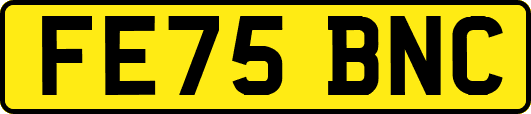 FE75BNC