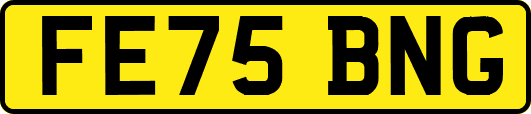 FE75BNG