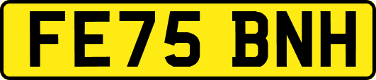 FE75BNH
