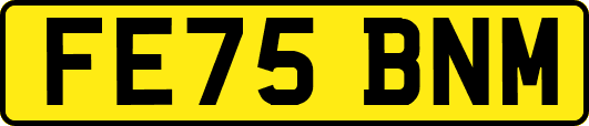 FE75BNM