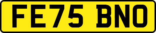 FE75BNO