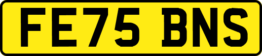 FE75BNS