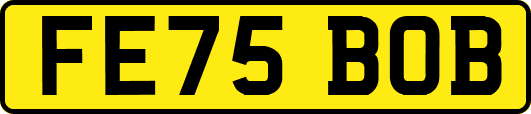 FE75BOB