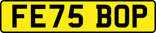 FE75BOP