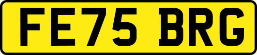FE75BRG