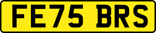 FE75BRS