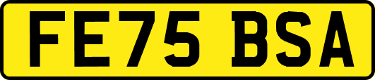 FE75BSA