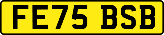 FE75BSB