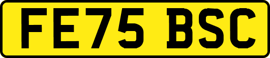 FE75BSC