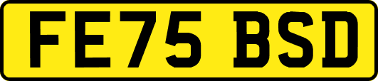 FE75BSD