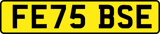 FE75BSE