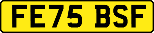FE75BSF