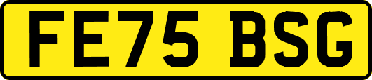 FE75BSG