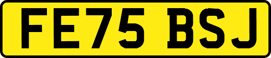 FE75BSJ