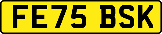 FE75BSK